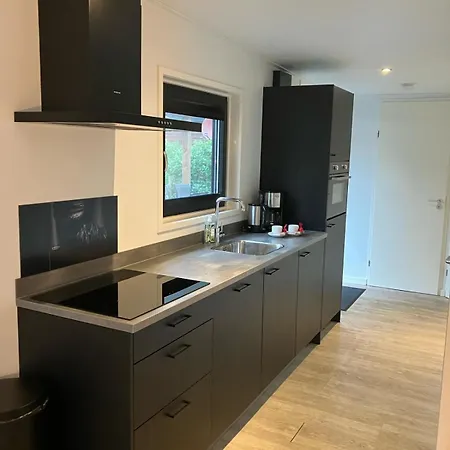 Schitterend 6 Persoons Met Hottub Aan De Bossen Alpesi faház