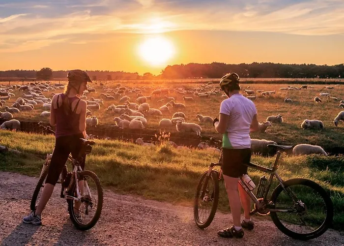 Schitterend 6 Persoons Met Hottub Aan De Bossen * Putten