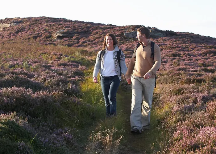Schitterend 6 Persoons Met Hottub Aan De Bossen Chalet