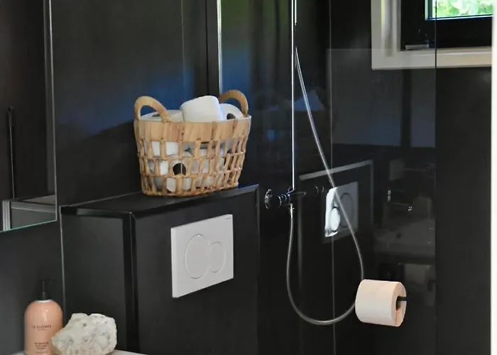 Chalet Schitterend 6 Persoons Met Hottub Aan De Bossen Putten