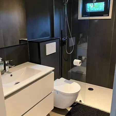 Schitterend 6 Persoons Chalet Met Hottub In De Bossen Van Putten
