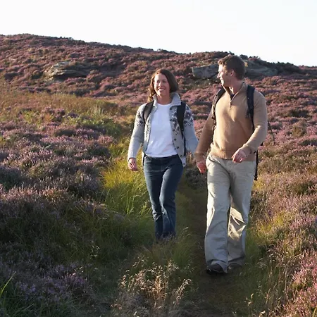 Schitterend 6 Persoons Met Hottub Aan De Bossen Domek alpejski