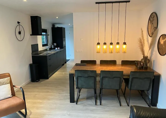 Schitterend 6 Persoons Met Hottub Aan De Bossen Putten