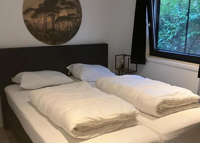 Schitterend 6 Persoons Met Hottub Aan De Bossen *